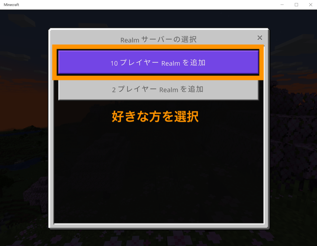 プランを選びます。ここでは例として10プレイヤーRealmを選択します。