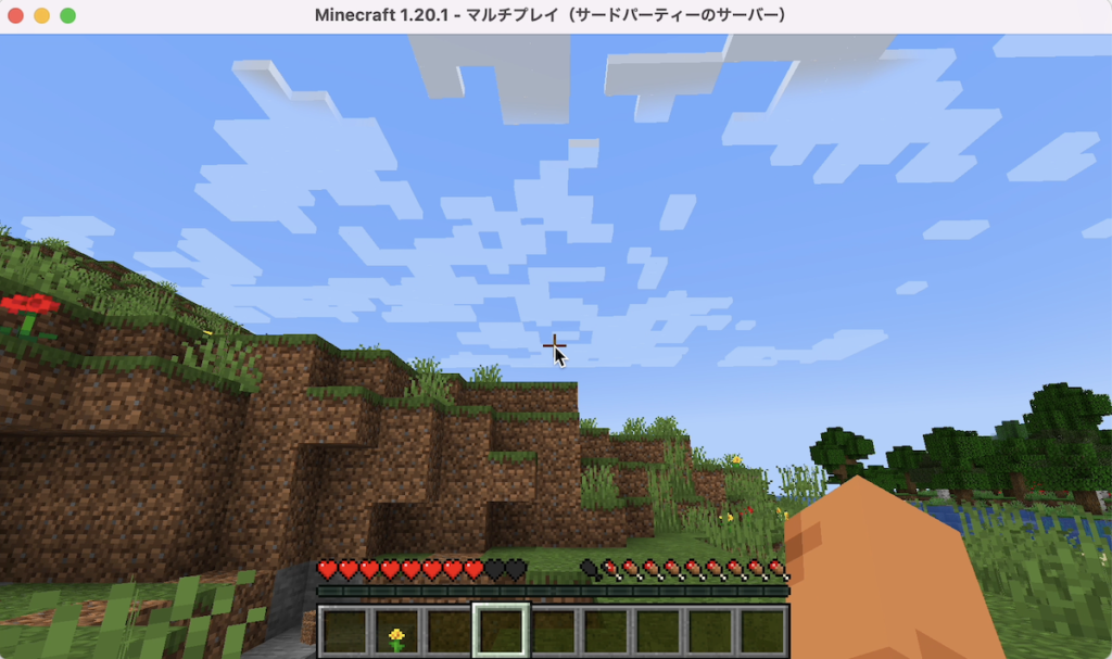 マイクラ　ワールド