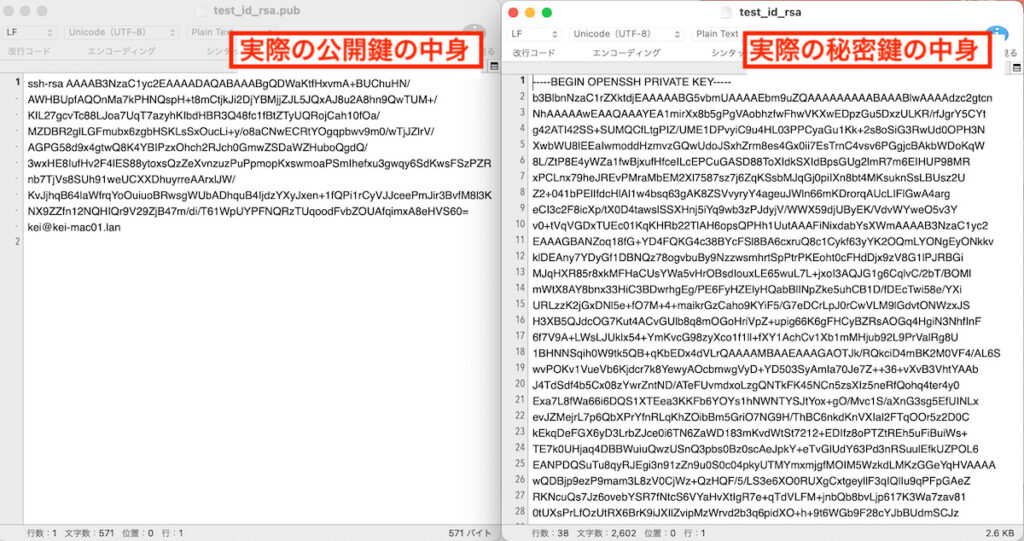公開鍵と秘密鍵のサンプルイメージ
