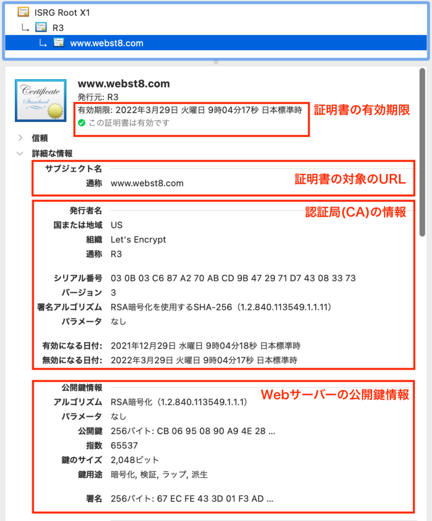 サーバー証明書の中身
